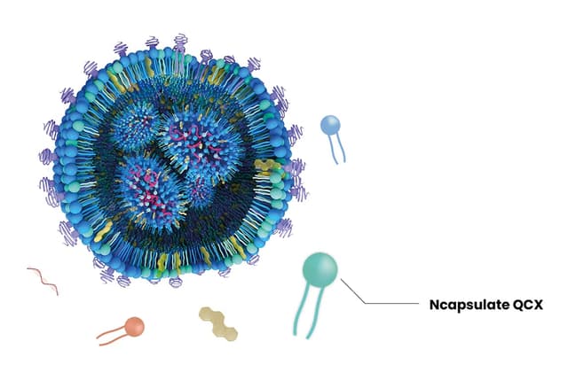Ncapsulate